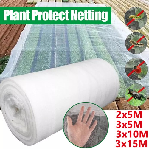 10m 15m garden insect - 5m,