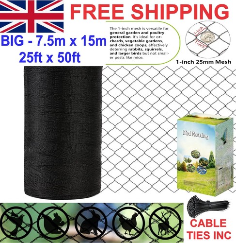 Garden bird pond poultry - pond,