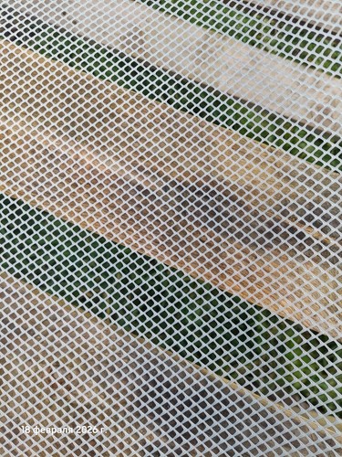 Plastic fence mesh garden - plastic,