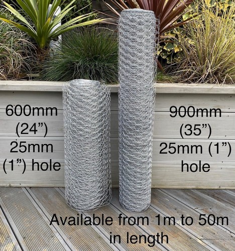 Galvanised chicken wire mesh - chicken,