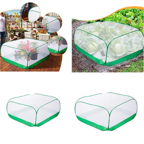 Mesh plant cover bird chicken - plant,