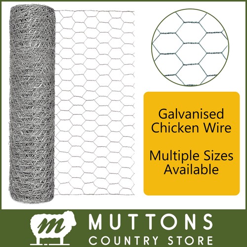 Galvanised chicken wire mesh - wire,