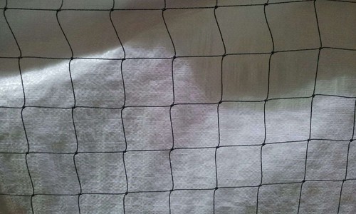 Bird netting 4m heron - bird,