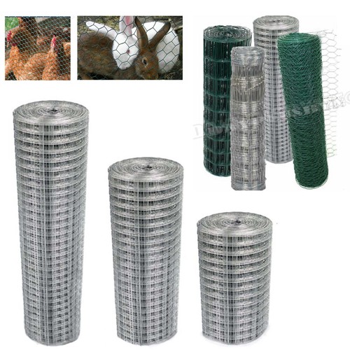 Chicken wire mesh fencing - chicken,