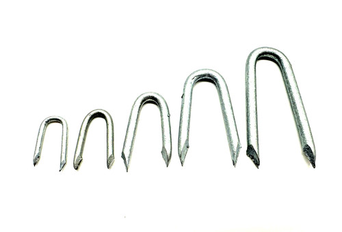Galvanised staples nails - staples,