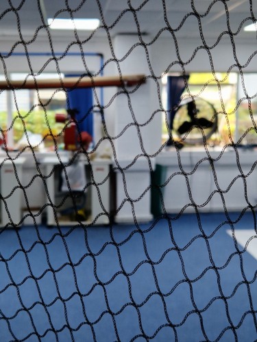 Anti bird netting - bird,