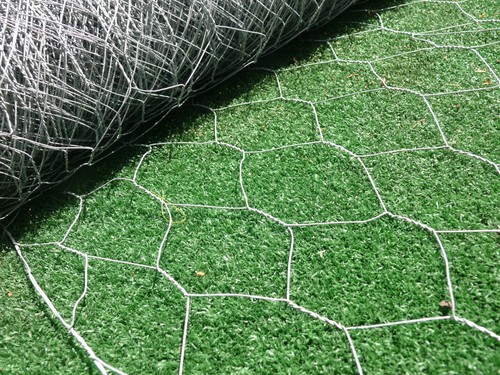 50m galvanised - 50m, (50mm)
