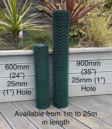 Pvc coated chicken wire mesh - pvc,